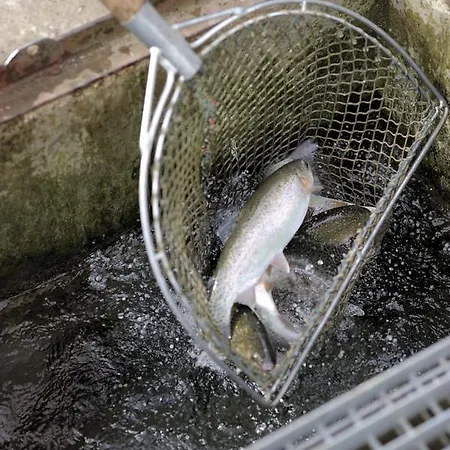 Landgasthof Wagner-zimmermann 3*