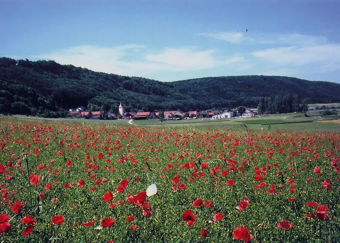 Landgasthof Wagner-zimmermann